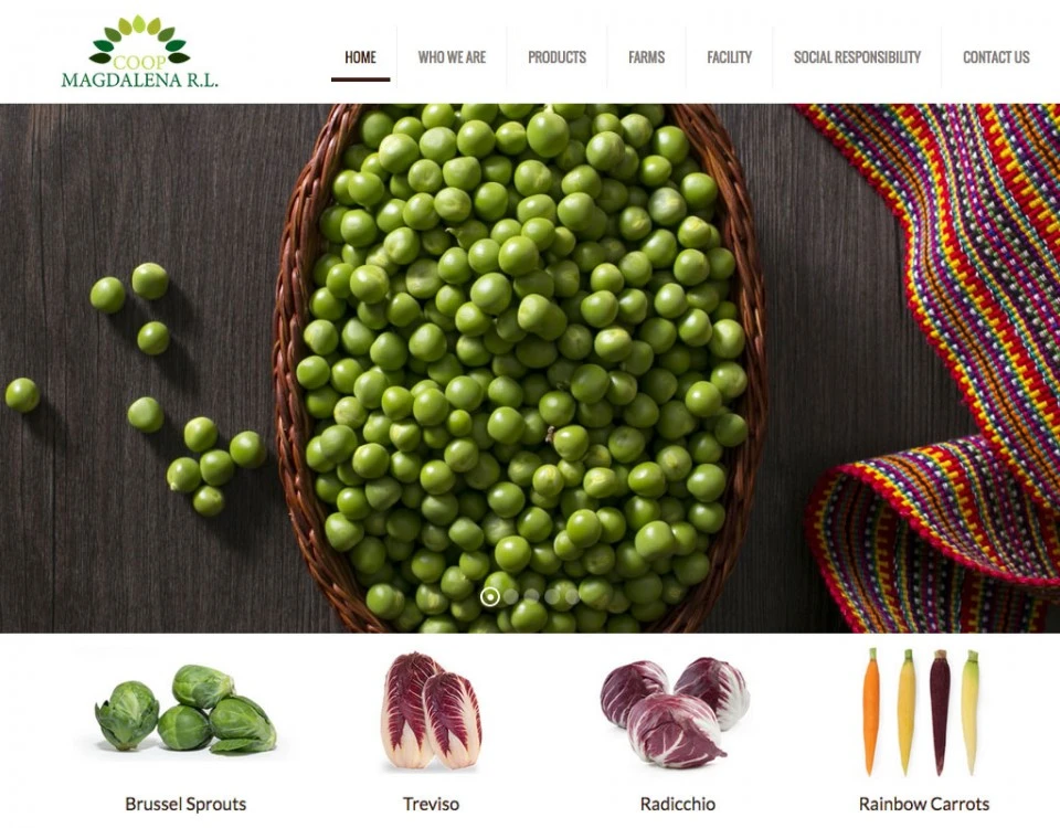 Cooperativa Magdalena Guatemala